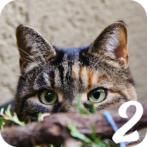 ios猫咪1.1.2苹果版苹果ios1612最新版本-第2张图片-太平洋在线下载