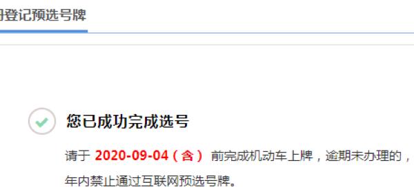 预选车牌客户端芊熠车牌识别管理软件